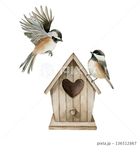 Wooden birdhouse with birds Vintage nesting box with heart shaped hole Black capped Chickadee. Watercolor hand drawn illustration isolated on white background Easter decor spring design cottagecore 136512867