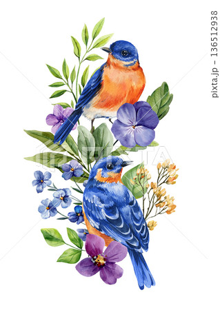 Bluebird pair with flowers watercolor illustration isolated on white spring botanical composition with pansy and forget me not 136512938