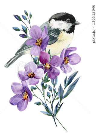 Chickadee bird with purple flowers watercolor illustration isolated on white spring botanical clipart for greeting cards and decor Chickadee bird with purple flowers watercolor illustration isolated on white spring botanical clipart for greeting cards and decor 136512946