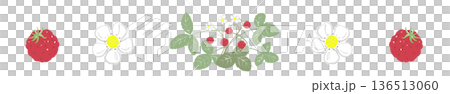 野生草莓線條裝飾邊框插圖，簡約的水果和花卉帶狀圖案 136513060