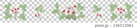 ワイルドストロベリーのライン飾り罫イラスト 葉が茂った賑やかな帯素材 136513061