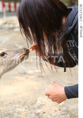 東日本大震災の爪痕 1205 36 136513136