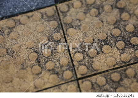 歩道に設置された点字ブロックのクローズアップ 136513248