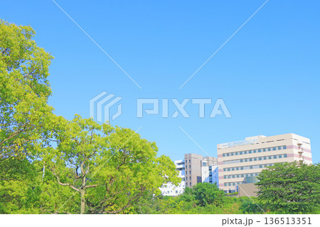 愛知県大府市、国立長寿医療研究センターの風景 136513351