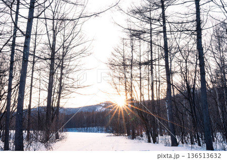 雪原の夕景 雪原の夕景 136513632