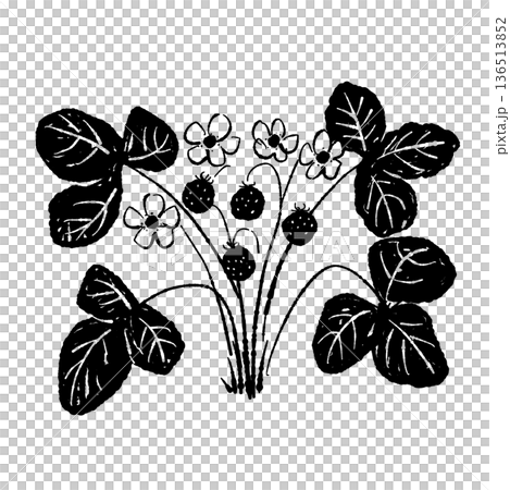 実と花がついたワイルドストロベリーの株イラスト 実と花がついたワイルドストロベリーの株イラスト 136513852