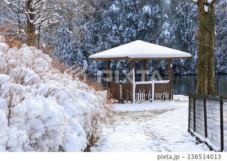 雪に包まれたぎふワールドローズガーデンの東屋と池の冬景色 雪に包まれたぎふワールドローズガーデンの東屋と池の冬景色 136514013