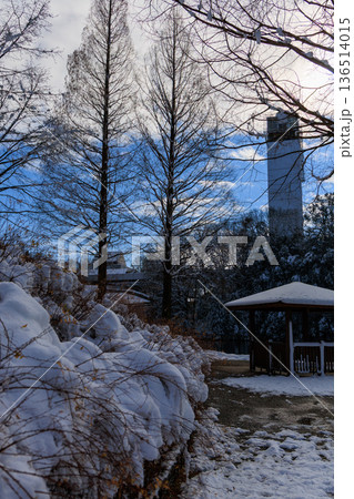 雪に包まれたぎふワールドローズガーデンの東屋と池の冬景色 雪に包まれたぎふワールドローズガーデンの東屋と池の冬景色 136514015