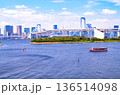 レインボーブリッジを望む 136514098