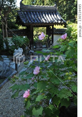 山の辺の道の風景　玄賓庵 136514495