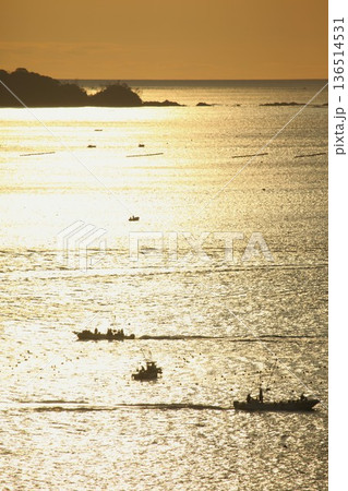 志津川湾の朝 1205 03 136514531