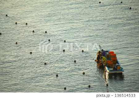 志津川湾の朝 1205 05 136514533