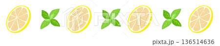レモンの輪切りとミントのライン飾り罫イラスト 爽やかな区切り線素材 136514636