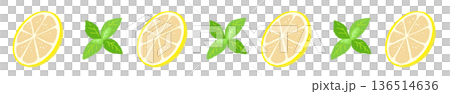 レモンの輪切りとミントのライン飾り罫イラスト 爽やかな区切り線素材 136514636