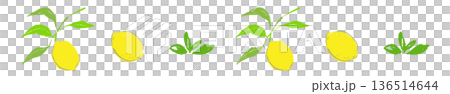 檸檬枝線條裝飾邊框插圖,樹葉狀天然帶狀材料 檸檬枝線條裝飾邊框插圖,樹葉狀天然帶狀材料 136514644