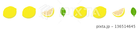 レモンと輪切りのライン飾り罫イラスト 実と断面の組み合わせ素材 136514645