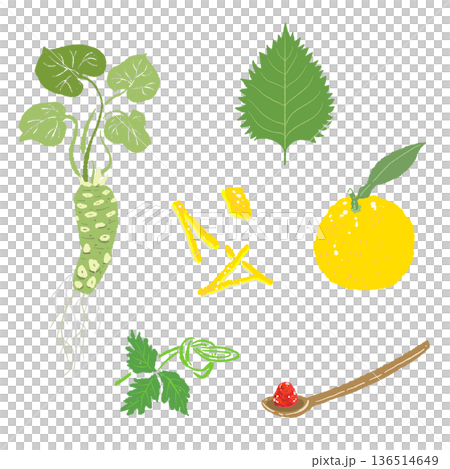 本わさびと柚子の薬味セットイラスト 風味豊かな和の食材詰め合わせ 136514649