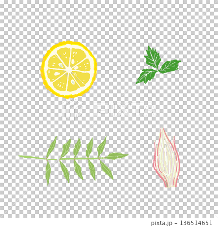 柚子と山椒の葉の薬味セットイラスト 香り高い和のハーブ素材 136514651