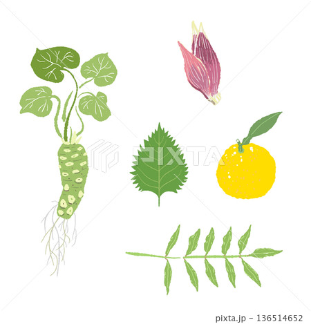 わさびと茗荷と柚子の薬味セットイラスト 新鮮な和風ハーブの詰め合わせ 136514652