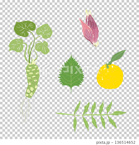 わさびと茗荷と柚子の薬味セットイラスト 新鮮な和風ハーブの詰め合わせ 136514652