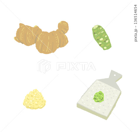 生姜とわさびの薬味セットイラスト すりおろしと丸ごとの対比素材 生姜とわさびの薬味セットイラスト すりおろしと丸ごとの対比素材 136514654