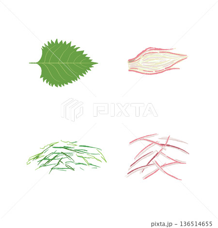 大葉と茗荷の薬味セットイラスト さっぱりとした和の香味野菜 大葉と茗荷の薬味セットイラスト さっぱりとした和の香味野菜 136514655