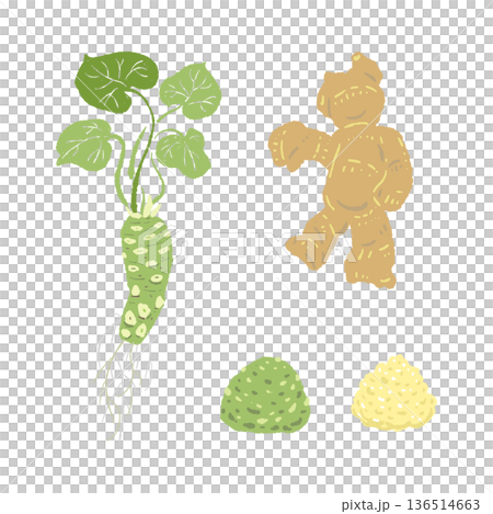 本わさびと生姜のキャラクターセットイラスト 可愛い擬人化薬味素材 136514663