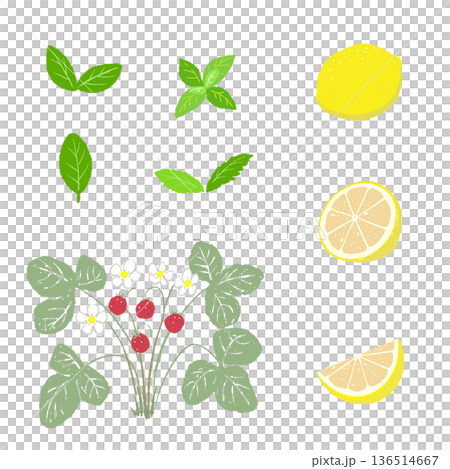 Set illustration of ingredients for herbal tea: wild strawberry, lemon, and mint 136514667