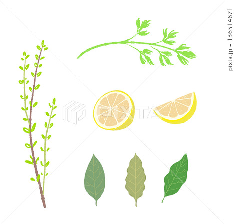 香り付けハーブのセットイラスト レモン・ローリエ・タイム・パセリ 136514671