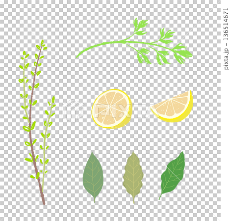 Aromatic herb set illustration: lemon, bay leaf, thyme, parsley Aromatic herb set illustration: lemon, bay leaf, thyme, parsley 136514671