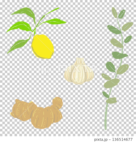 健康草藥與配料組合圖示：生薑、檸檬、大蒜、尤加利 136514677