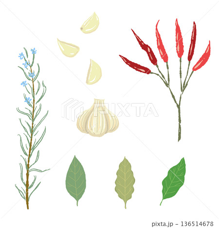 イタリアンハーブとスパイスのセットイラスト ローズマリー・唐辛子・ローリエ イタリアンハーブとスパイスのセットイラスト ローズマリー・唐辛子・ローリエ 136514678
