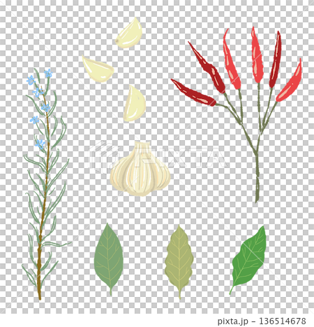イタリアンハーブとスパイスのセットイラスト ローズマリー・唐辛子・ローリエ イタリアンハーブとスパイスのセットイラスト ローズマリー・唐辛子・ローリエ 136514678
