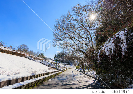 青空と陽光に包まれた雪の園路 ぎふワールドローズガーデンの冬景色 青空と陽光に包まれた雪の園路 ぎふワールドローズガーデンの冬景色 136514954