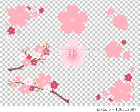 ゆるい雰囲気のシンプルな桜＿イラスト素材セット 136515007