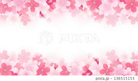 桜の花が囲む春のピンク色背景フレーム素材 136515153
