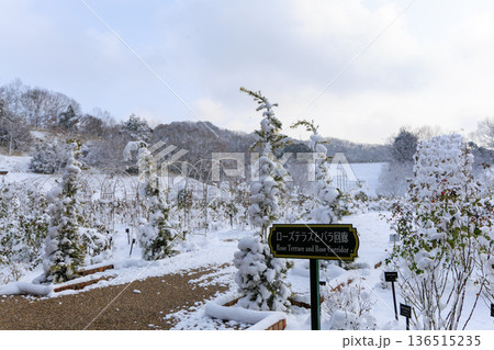 雪に包まれたぎふワールドローズガーデンの冬のバラ園風景 雪に包まれたぎふワールドローズガーデンの冬のバラ園風景 136515235
