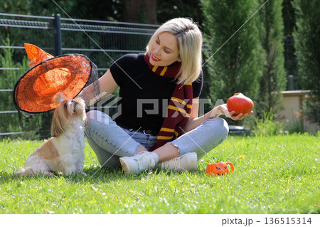 A beautiful girl is sitting on the terrace with a dog, holding a pumpkin in her hand. 136515314