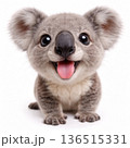コアラの赤ちゃん 136515331