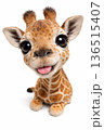 キリンの赤ちゃん 136515407