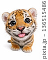トラの赤ちゃん 136515486