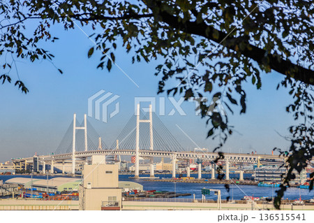 港の見える丘公園からのベイブリッジ 136515541