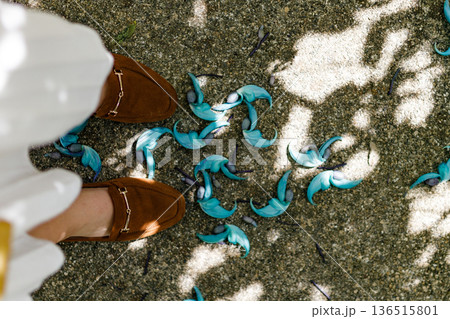 足元に散らばるヒスイカズラの花と一人称視点の自然風景 136515801