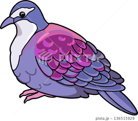 パプアムナジロバトのイラスト（横向き・透過背景） 136515929