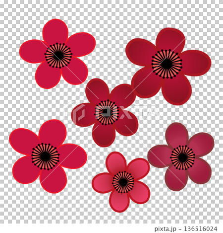 紅梅花插畫 紅梅花插畫 136516024