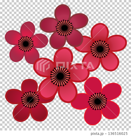 紅梅花插畫 紅梅花插畫 136516025