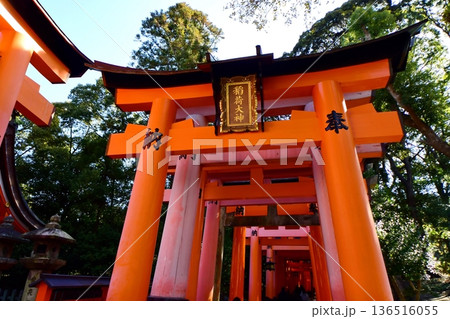 京都府　伏見稲荷大社　千本鳥居（入口） 京都市伏見区深草藪之内町 136516055