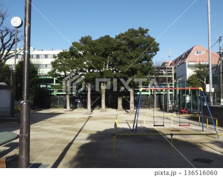 冬の柔らかな光が差し込む誰もいない静かな街区公園の風景 冬の柔らかな光が差し込む誰もいない静かな街区公園の風景 136516060