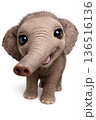 子象 136516136