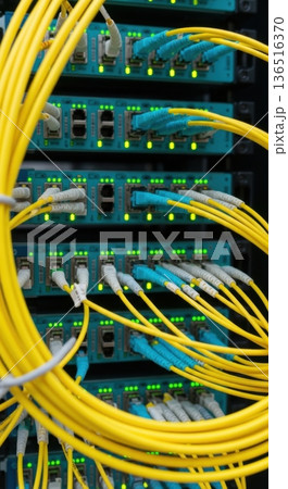 High-Density Fiber Optic Patch Panel and Cabling for AI Network 136516370